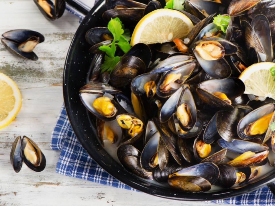 restaurant moule frite bruxelles